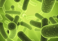 新宝GG将加入2013年欧洲生物春季展会