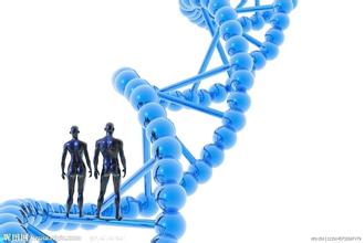 Nature爆炸新闻：人类基因组编辑引发科学界大行动