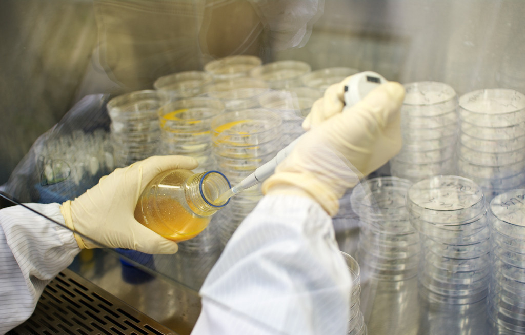 新宝GG—创立事业平台