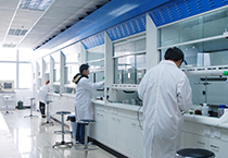 新宝GG业、新宝GG普亚加入了第三届亚太国际外源物研究学会ISSX聚会