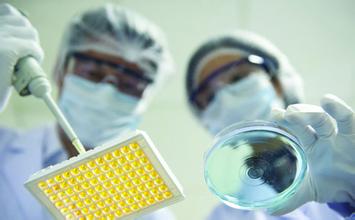 新宝GG—创立事业平台