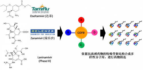 图2：以现有抗流感药物的结构为基础，，举行多样性药物分子库的合成。。