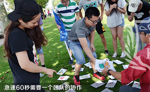 新宝GG—创立事业平台