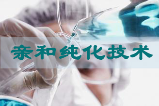 新宝GG亲和纯化手艺服务