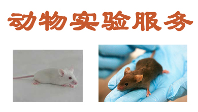 新宝GG动物实验外包服务