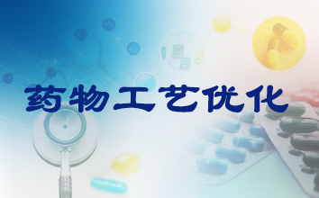 新宝GG制药工艺优化服务