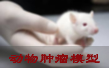 新宝GG肿瘤模子建设服务