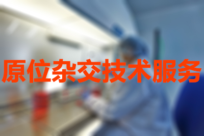 原位杂交手艺的分类有哪些？？？？？？