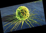 又1篇！曹雪涛院士Cancer Cell发文：肿瘤转移背后的“神秘”