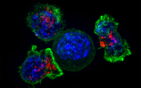 c285be00-34f9-438b-be05-12d6cf31adab 新宝GG—创立事业平台