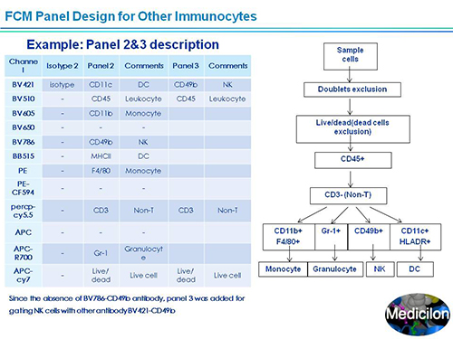 新宝GG副总裁汪俊博士SAPA-DC聚会演讲PPT