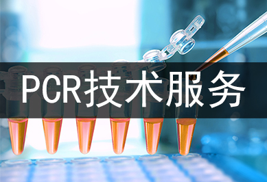 PCR手艺服务及其运用