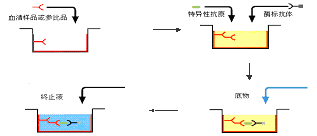 新宝GG—创立事业平台