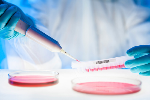 科学家判别出抗老化实验性药物的分子靶点