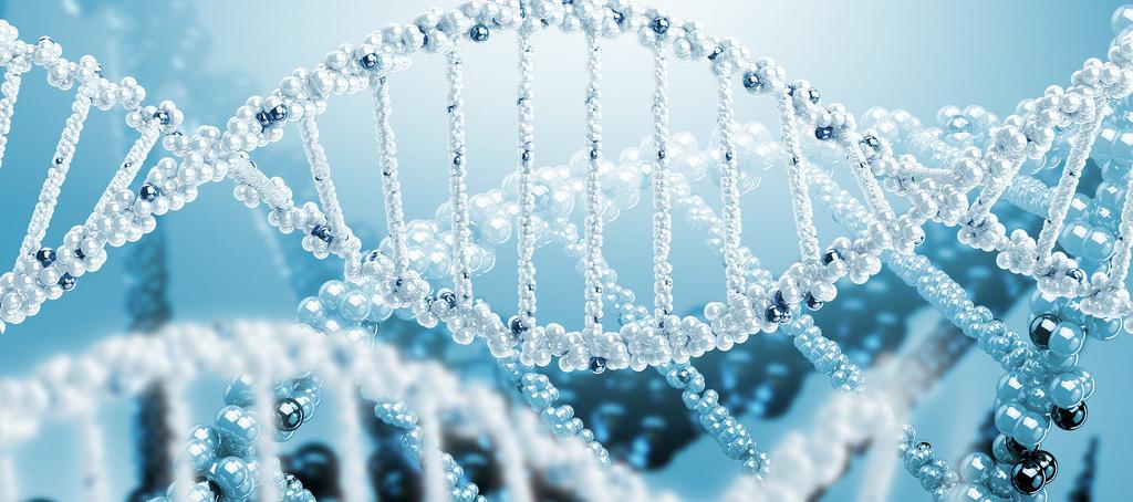 浅谈新宝GG抗体药物PK剖析要领学设计的思量要点