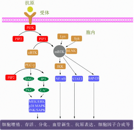 新宝GG—创立事业平台