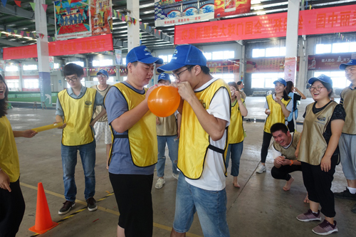 新宝GG—创立事业平台