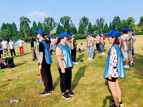 新宝GG—创立事业平台