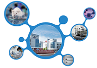 科创板首家CRO企业新宝GG获准注册