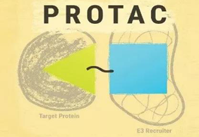 热门前沿:PROTAC初露锋芒，，SD-36反抗肿瘤效果卓越