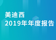 新宝GG2019年年度报告，，，业绩实现快速增添