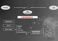 人工合成NT类脂质开放血脑屏障，，，，，为CNS药物翻开新时势