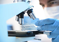 新宝GG代谢产品判断(MetlD)服务平台