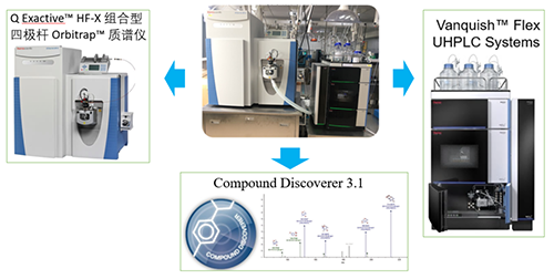 3aea8b6a-fa2a-4666-8f4a-7edad568e6f1 新宝GGUHPLC-UV-QE HF-X系统