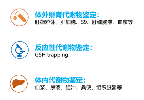 46d5e879-735b-4525-b61c-8d6269910dc2 支持新药发明及申报的MetID研究