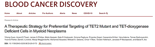 研究者形貌了一种新型靶向抗癌药物，，，，，，这种药物可能会有用地治疗某些常见的白血病。。