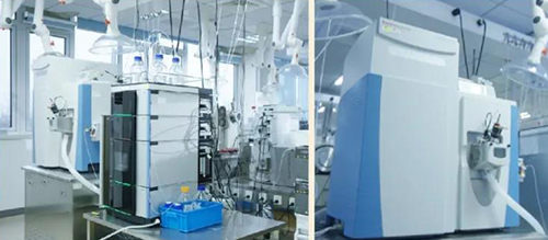 新宝GGDMPK剖析服务