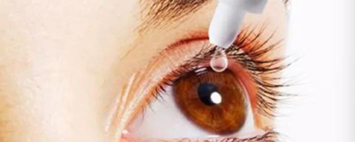 新宝GG毒理研究