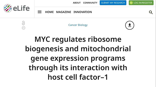 可以“融化”肿瘤的卵白质，，，你一定没有听说过！