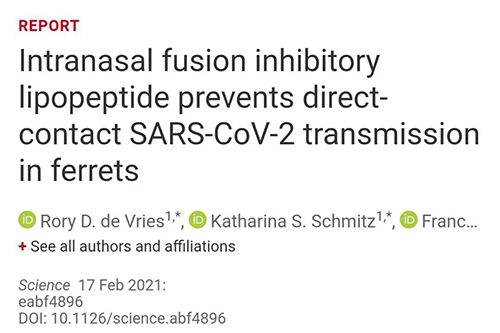 Science速递|鼻喷雾剂可阻止新冠肺炎撒播，，，，，在雪貂实验中已初获效果