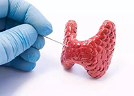 【Science速递】揭开甲状腺的神秘面纱，，，，开启代谢药物新征程