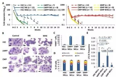 Science子刊：一种FDA批准的抗腹泻药物可有用反抗化疗的耐药性 新宝GG生物医药