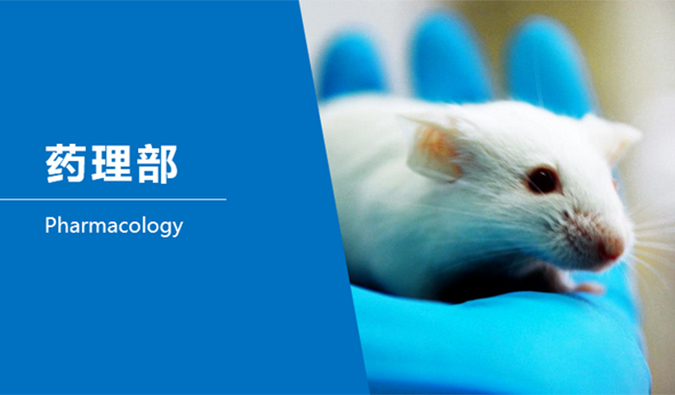 新宝GG临床前研究-药理部
