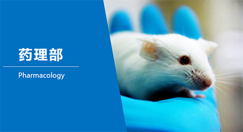 新宝GG临床前研究-药理部