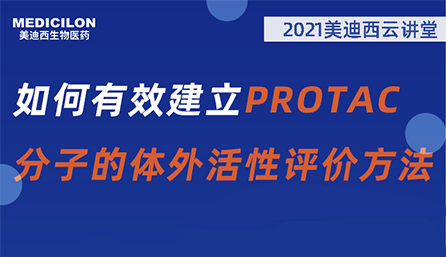 【云课堂】：怎样有用建设PROTAC分子的体外活性评价要领？？？？？？