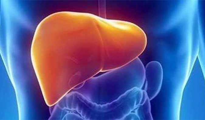 【新宝GG助力】NASH领域新希望！海普丁HPD001即将在美启动临床试验