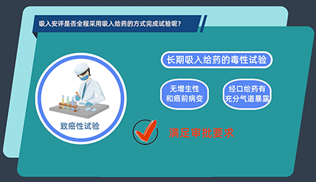 吸入安评是否全程接纳吸入给药的方式完成试验呢？？