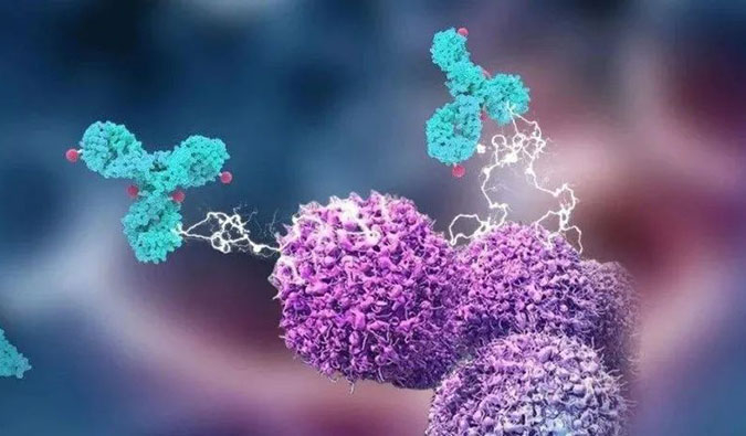 新宝GG助力国产靶向叶酸受体FRα ADC注射用BAT8006获批临床