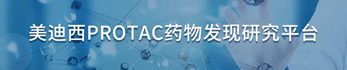 新宝GGPROTAC药物发明研究平台.png