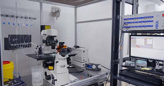 HEKA-Elektronik-EPC10-USB-DOUBLE-膜片钳系统