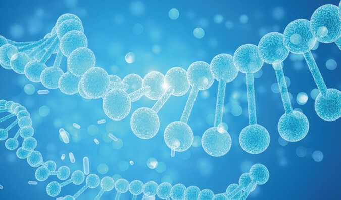 生物手艺平台.jpg 生物手艺平台.jpg