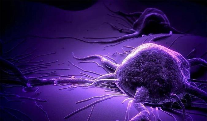 新宝GG助力轩竹生物研发的完全敲除岩藻糖的双抗ADC药物KM501获批临床