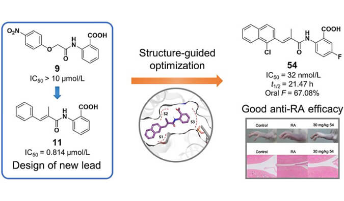 设计合成一系列DHODH抑制剂作为潜在的类风湿性枢纽炎治疗药物，，，，，，本研究中PK实验通过新宝GG举行