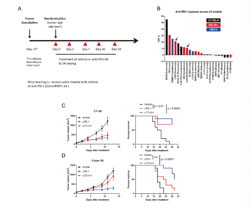 免疫检查点阻断疗法改变了癌症治疗的范式，，此研究中通过新宝GG在23 个同源肿瘤模子中举行了抗PD-1抗体的体内研究