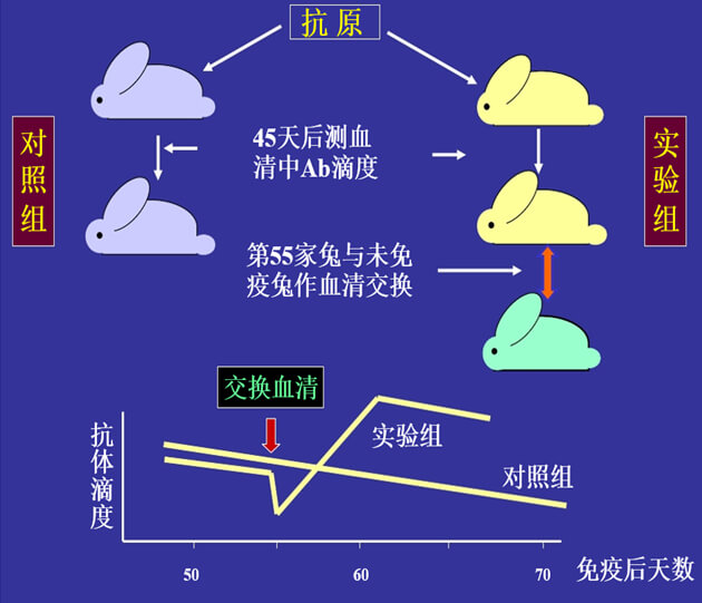 Figure-1：机体反抗体浓度转变的感知与反馈性自我调理.jpg