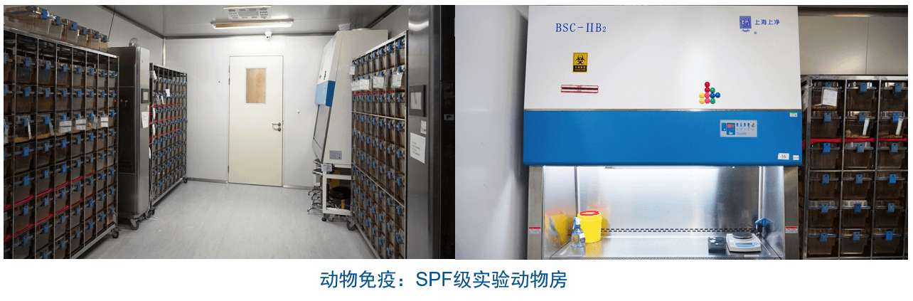 新宝GG杂交瘤手艺平台装备-动物免疫SPF级实验动物房